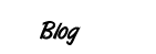 Wordpress Blog